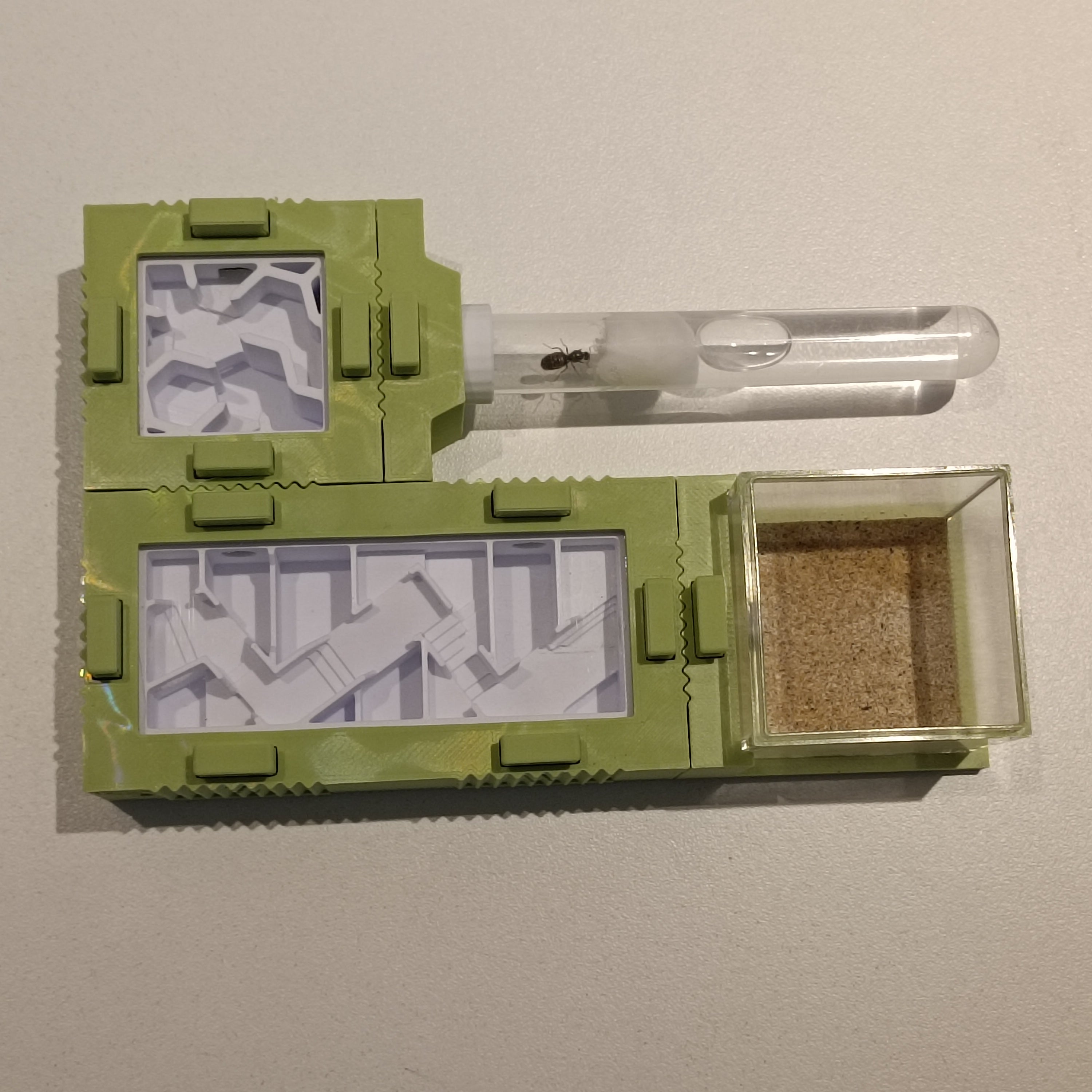 Mierennest - Starterkit - S