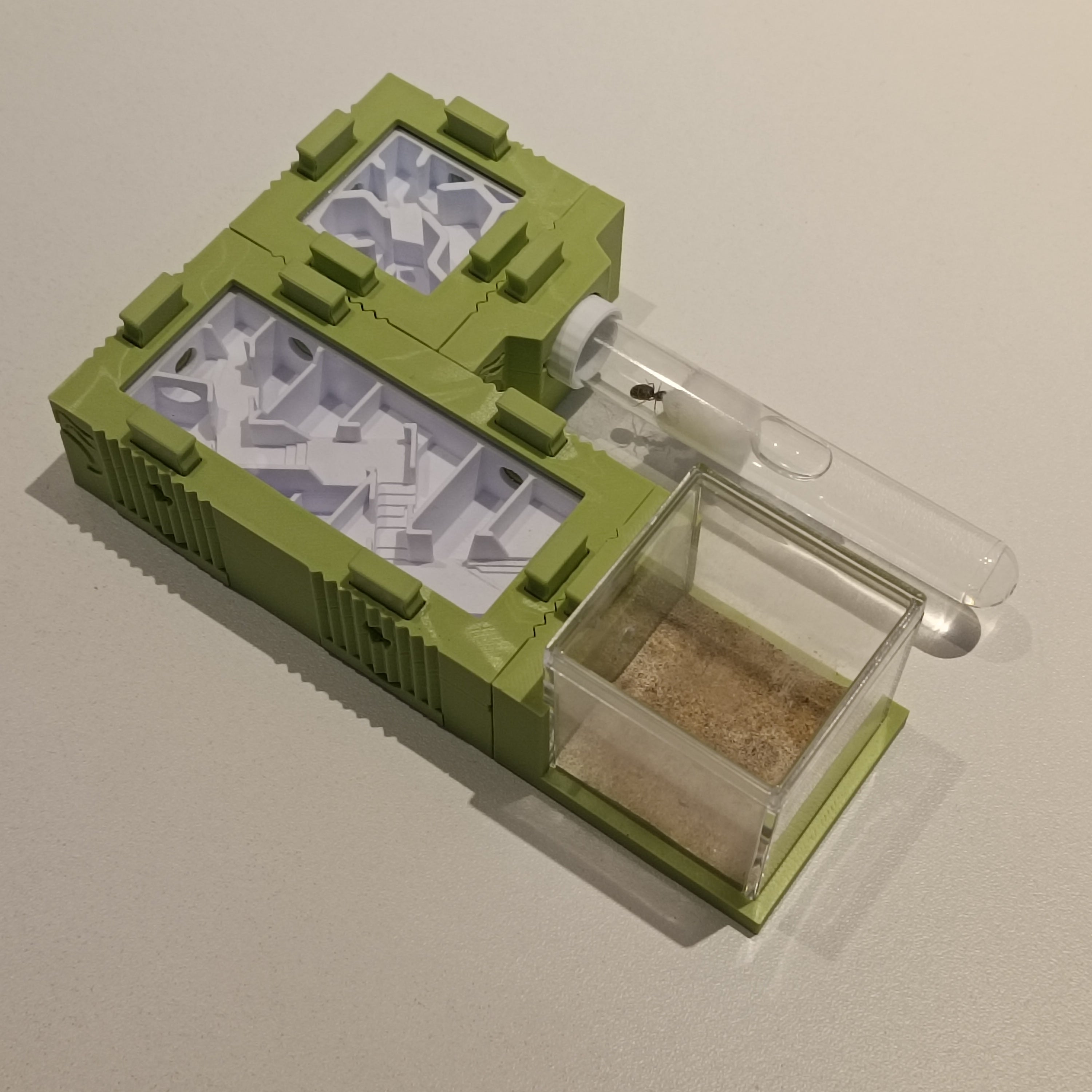 Mierennest - Starterkit - S