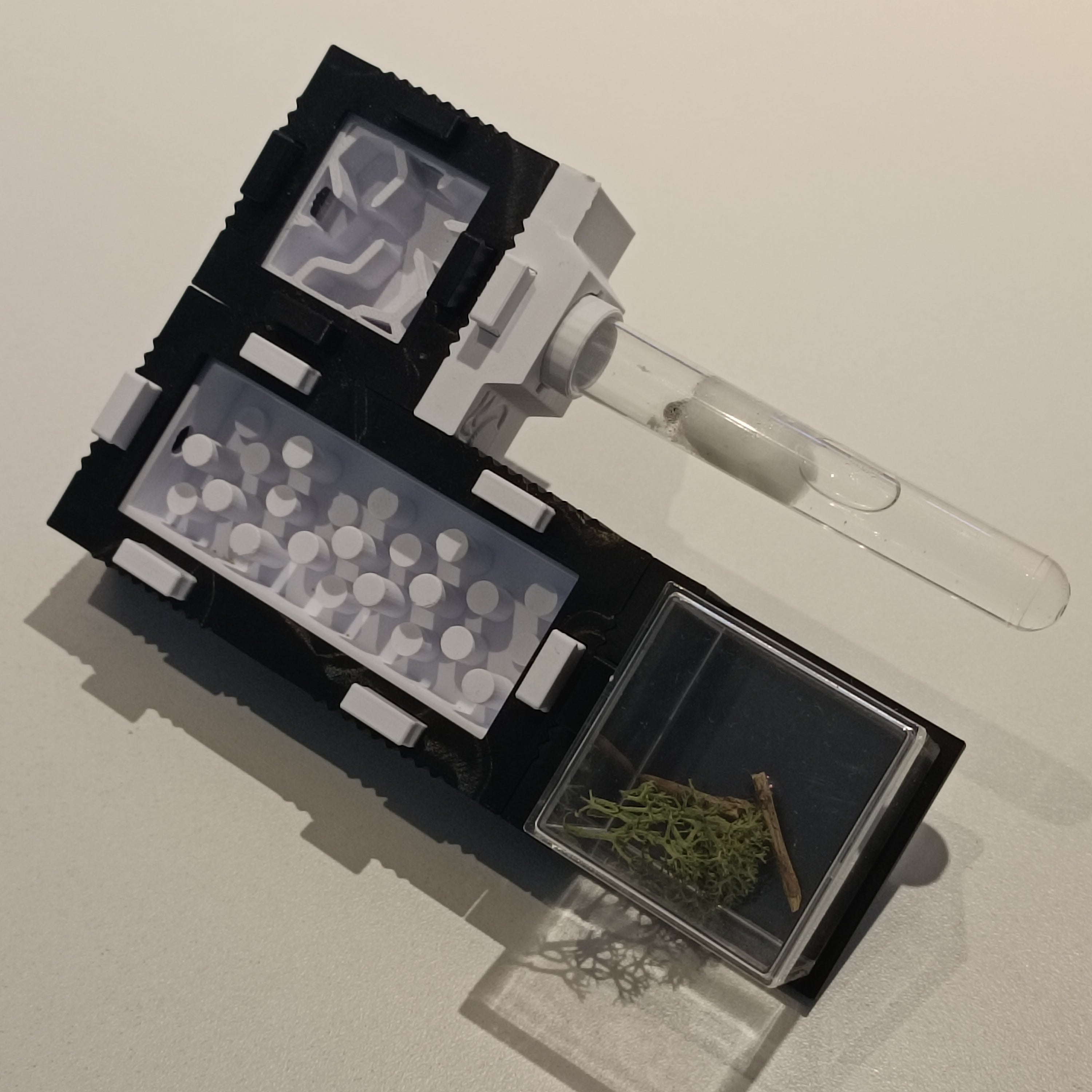 Mierennest - Starterkit - S