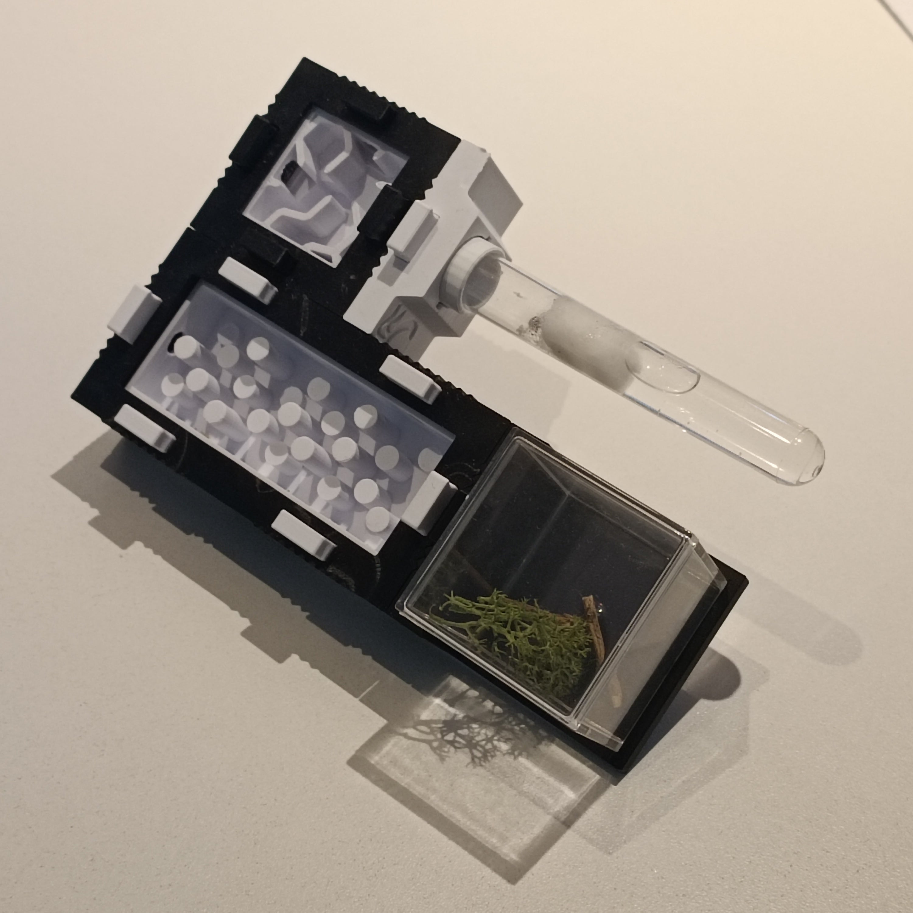 Mierennest - Starterkit - S