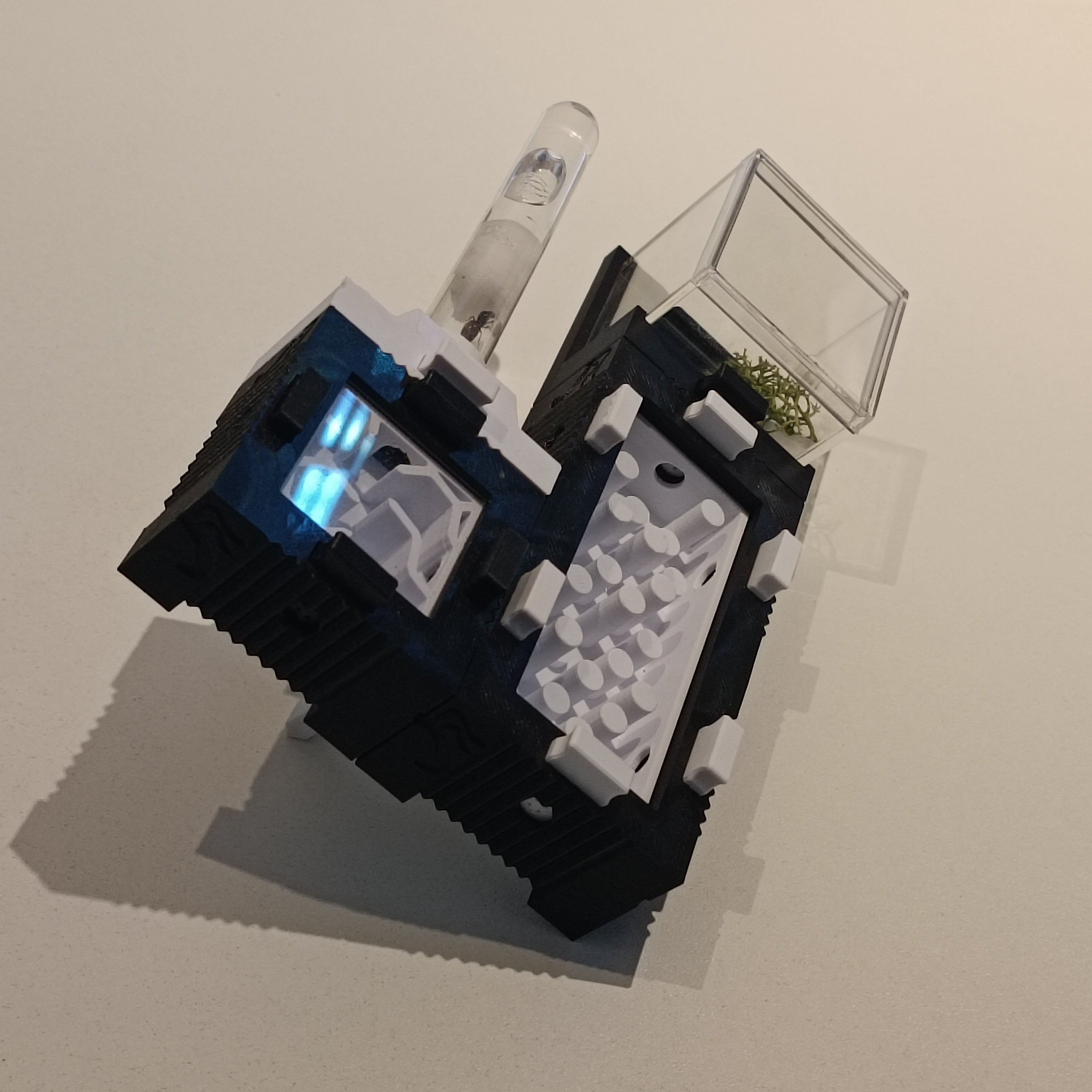 Mierennest - Starterkit - S