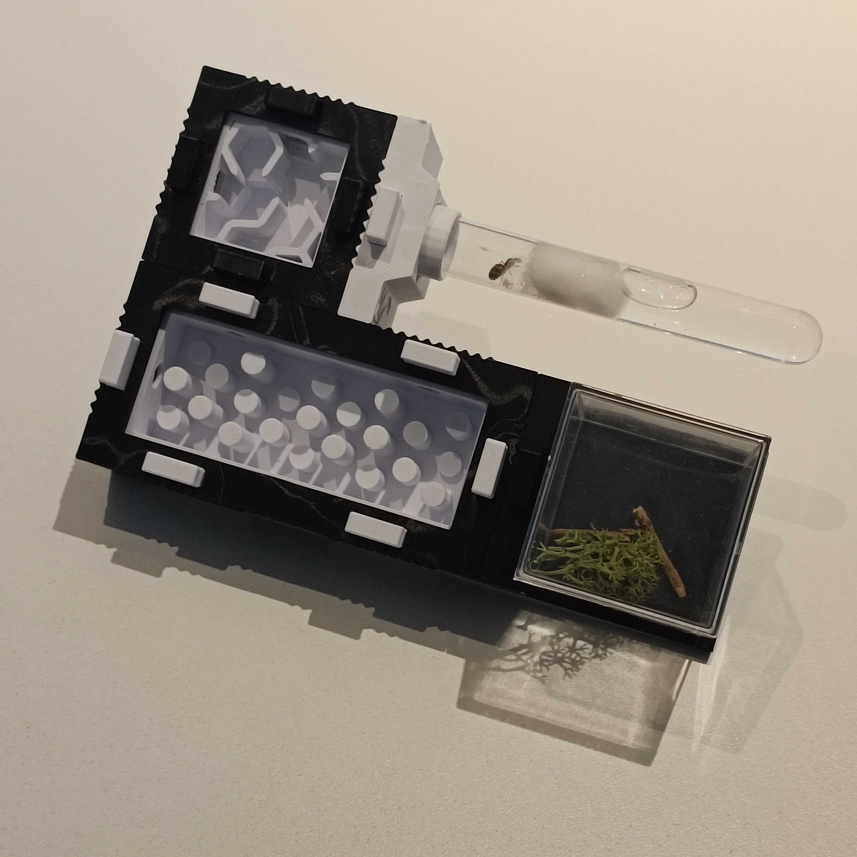 Mierennest - Starterkit - S