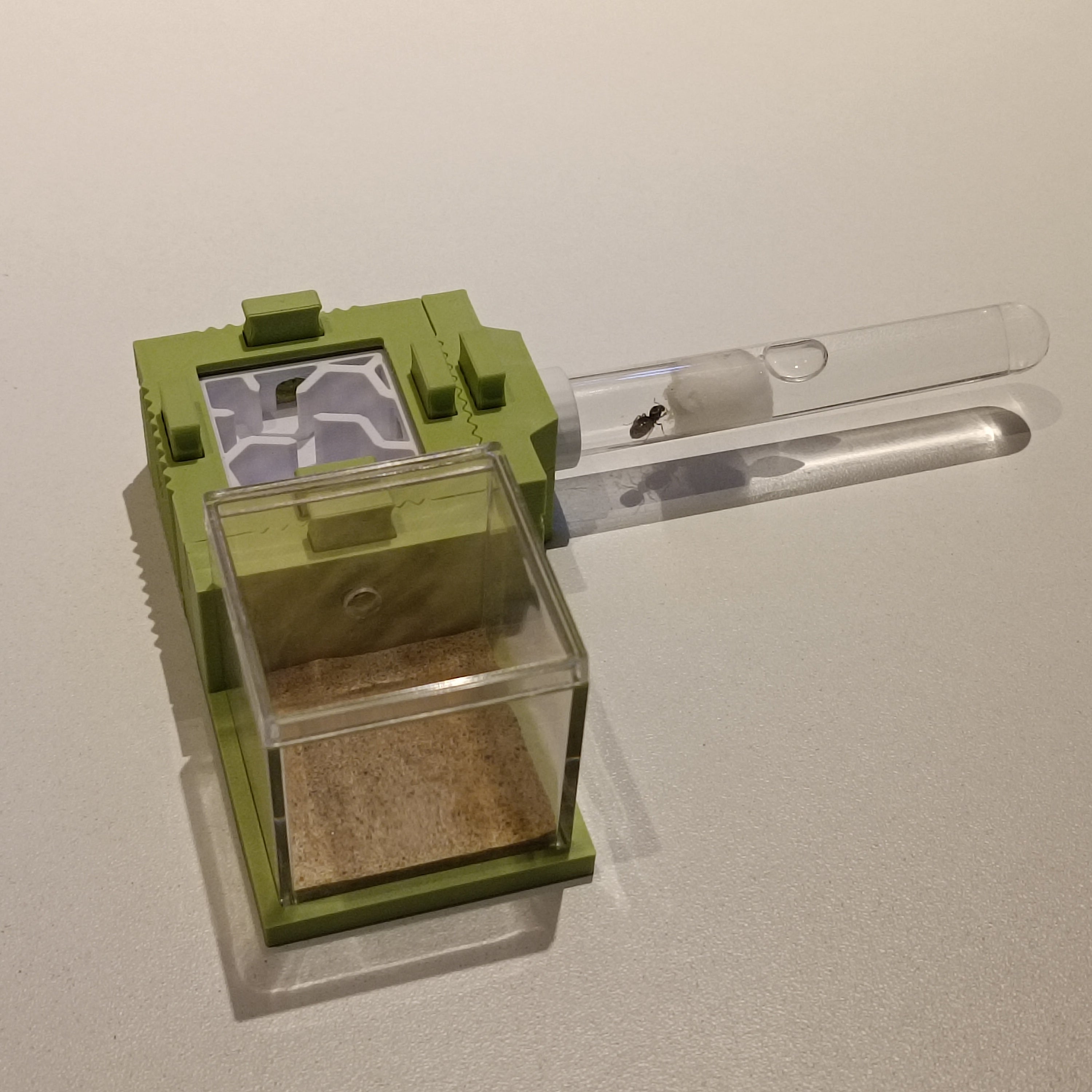 Mierennest - Starterkit - XS