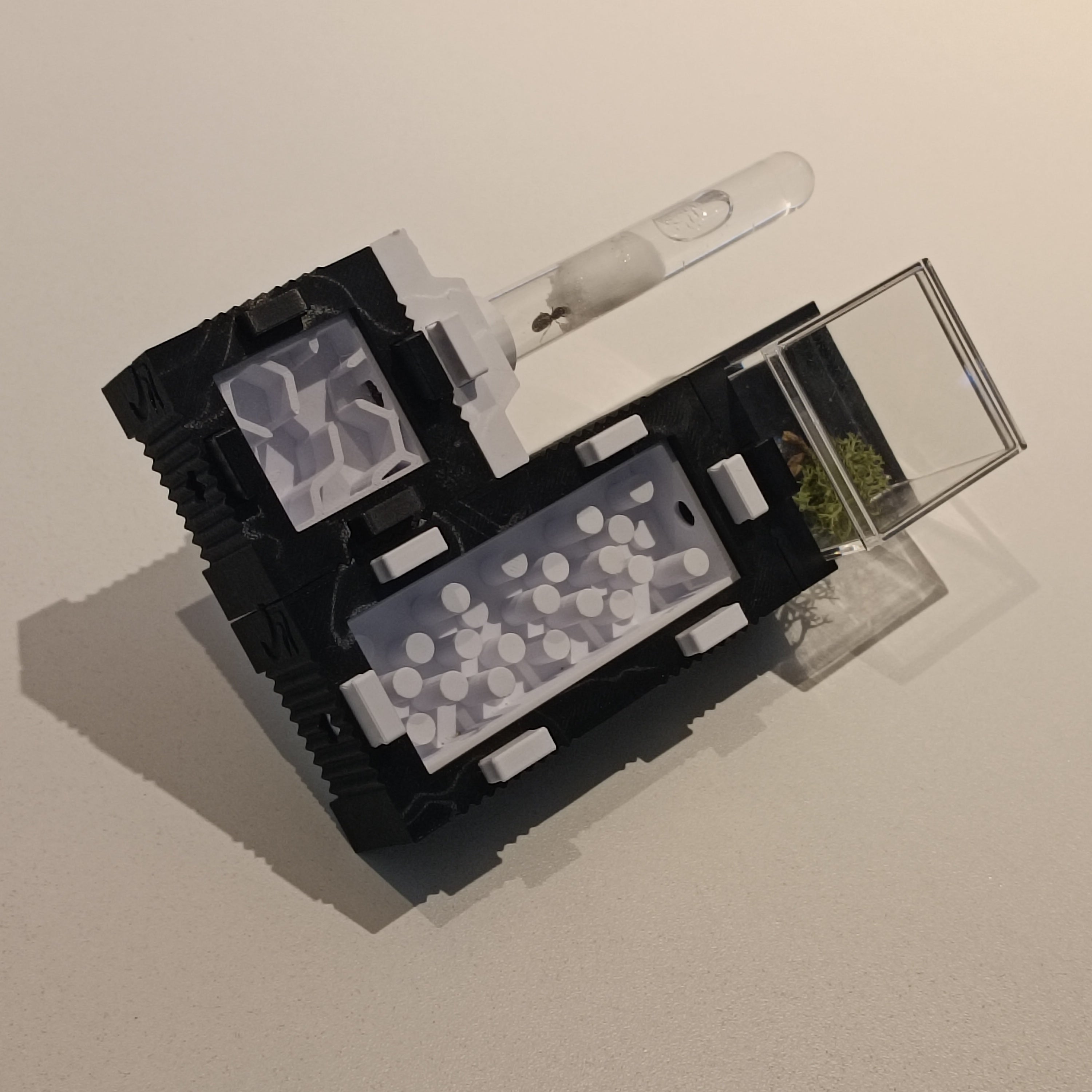 Mierennest - Starterkit - S