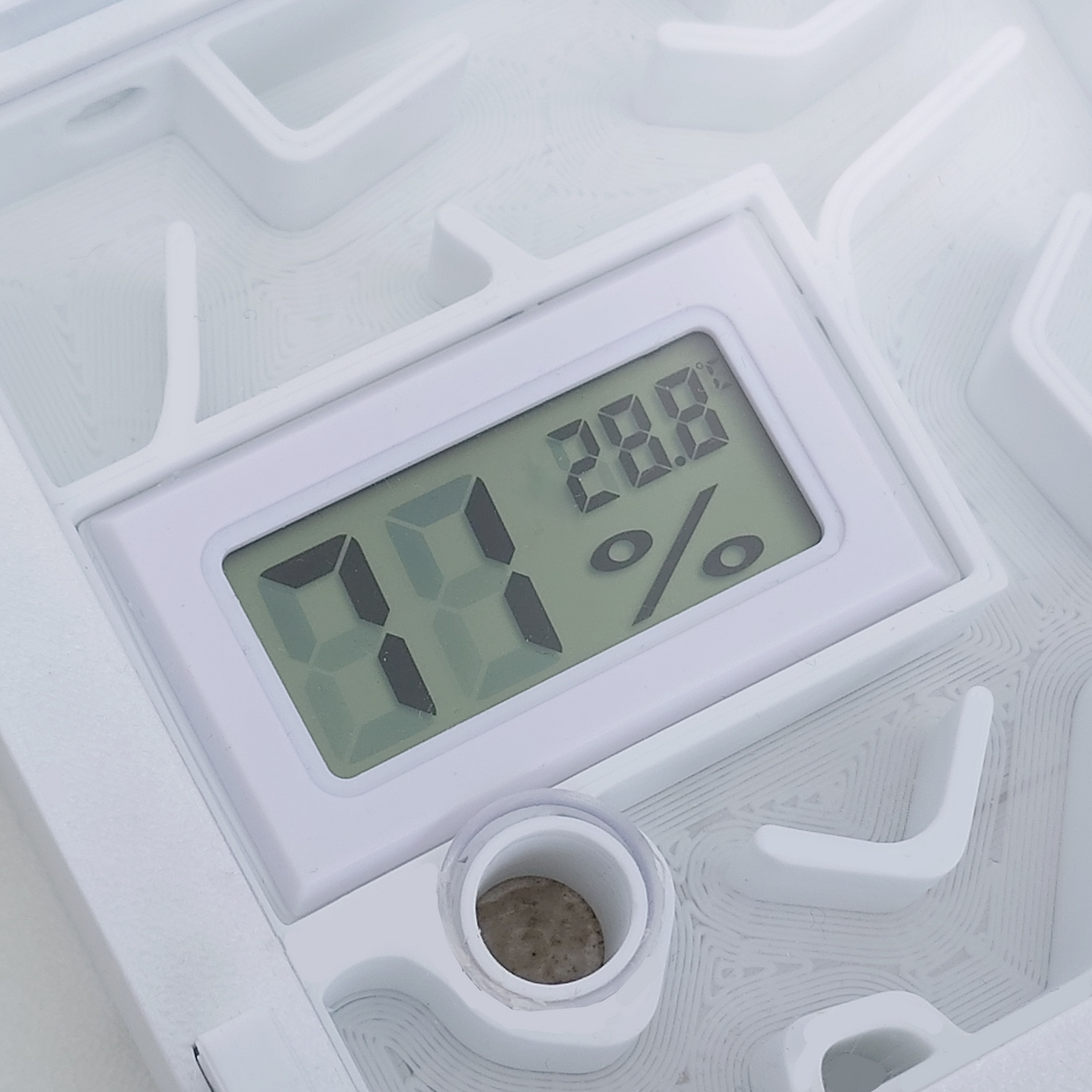 wolfants nest modern technisch mier mierenverblijf mierenboerderij verwarming temperatuur formicarium